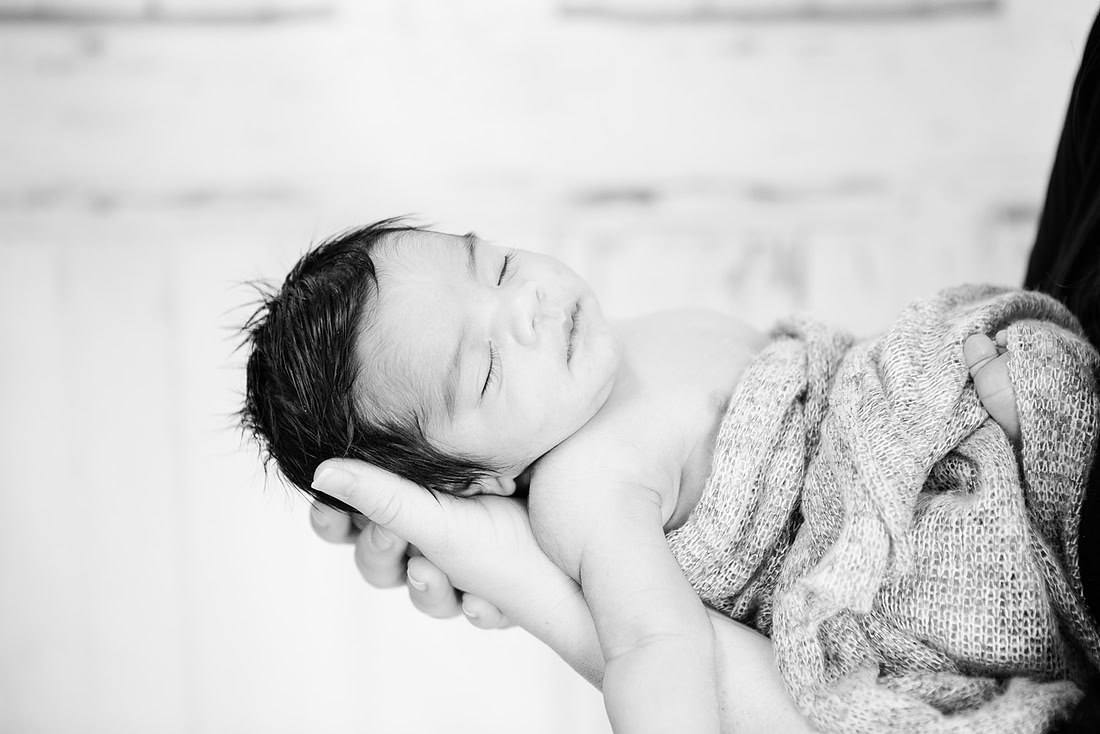 created by me photography -7696