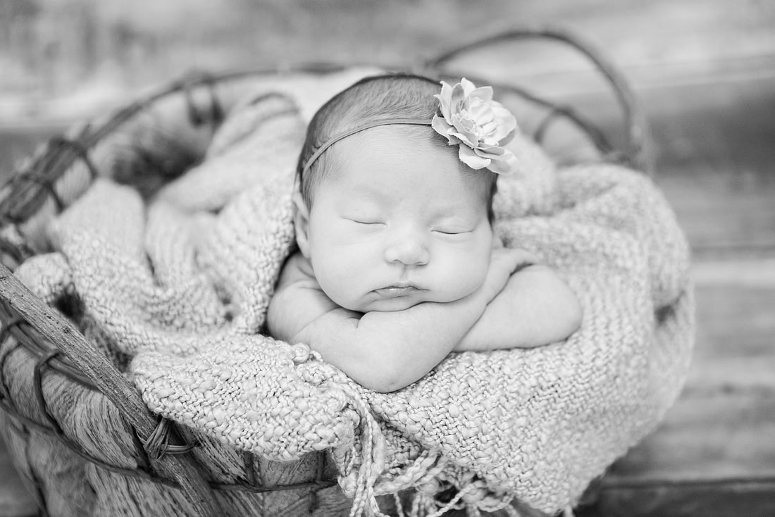 created by me photography -7422