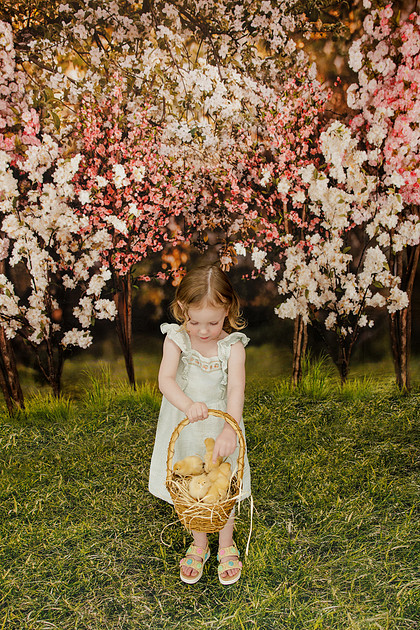 CBM Photography -16
