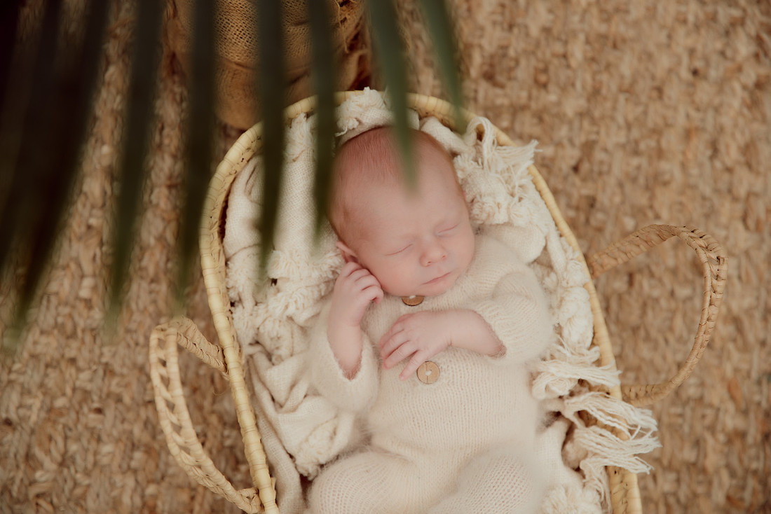 CBM PHOTOGRAPHY -126