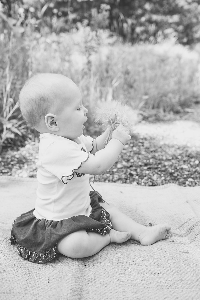 created by me photography -5546