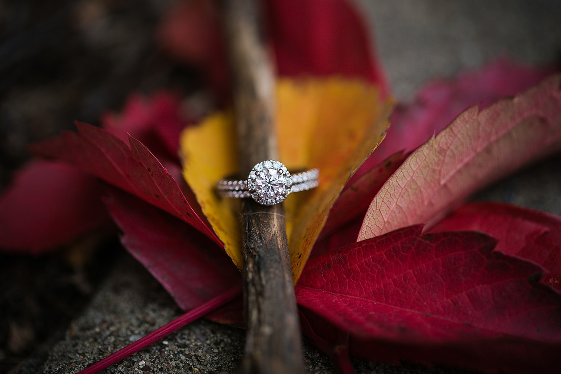 cbm photo-4983