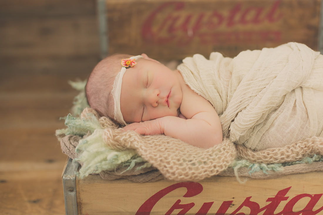 20151218-TC7A9984-2