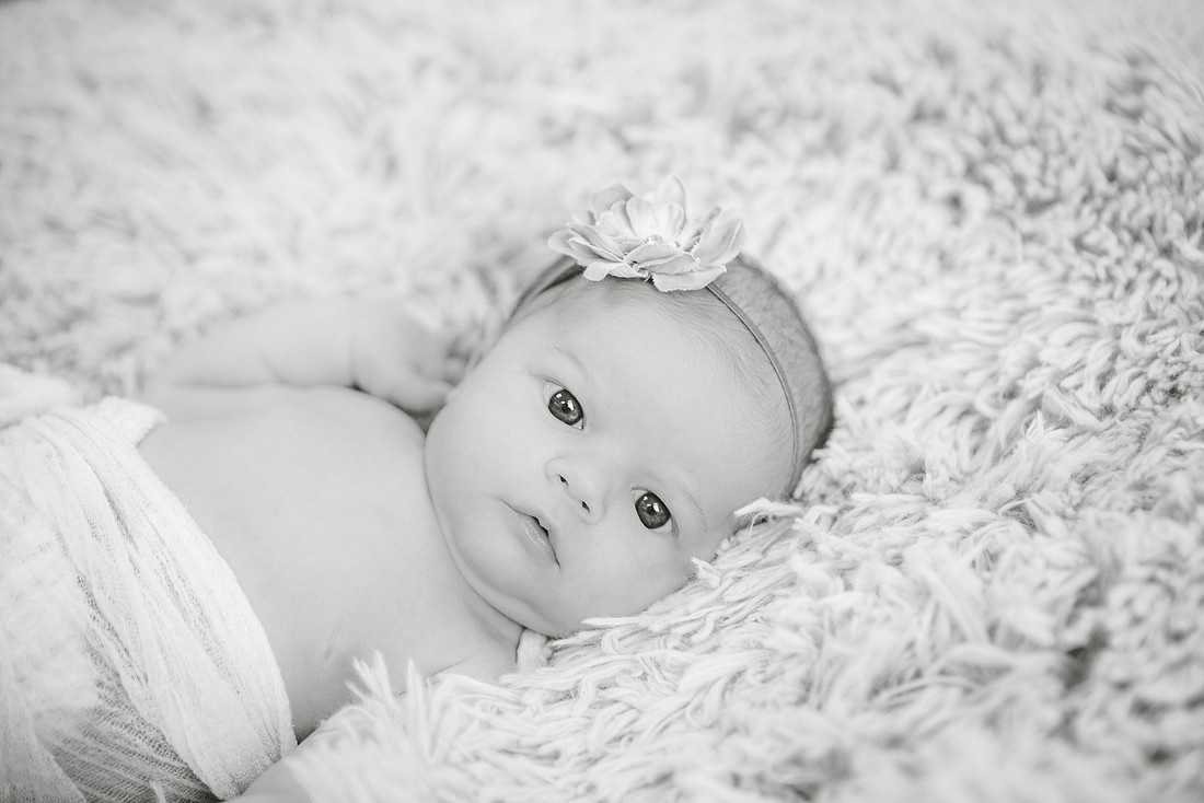 cbm photo-8205-3