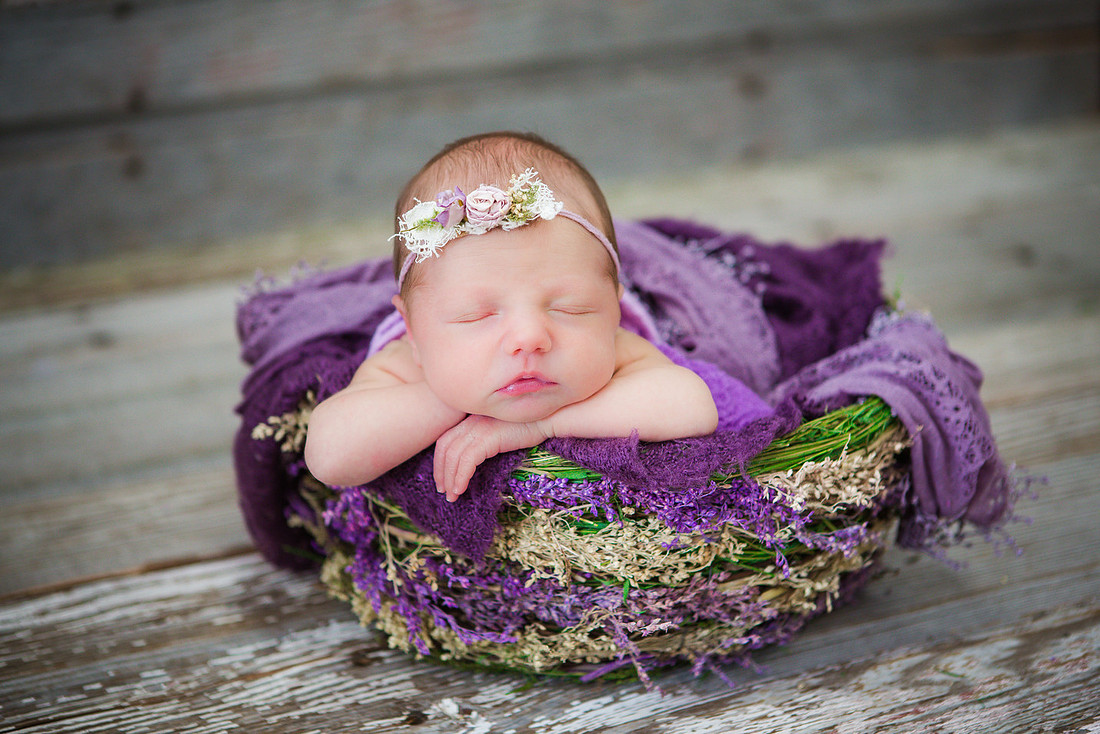 cbm photo-8
