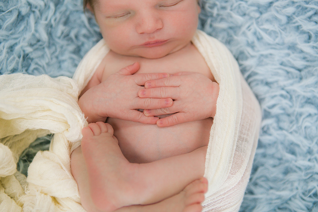 cbm photo-4531
