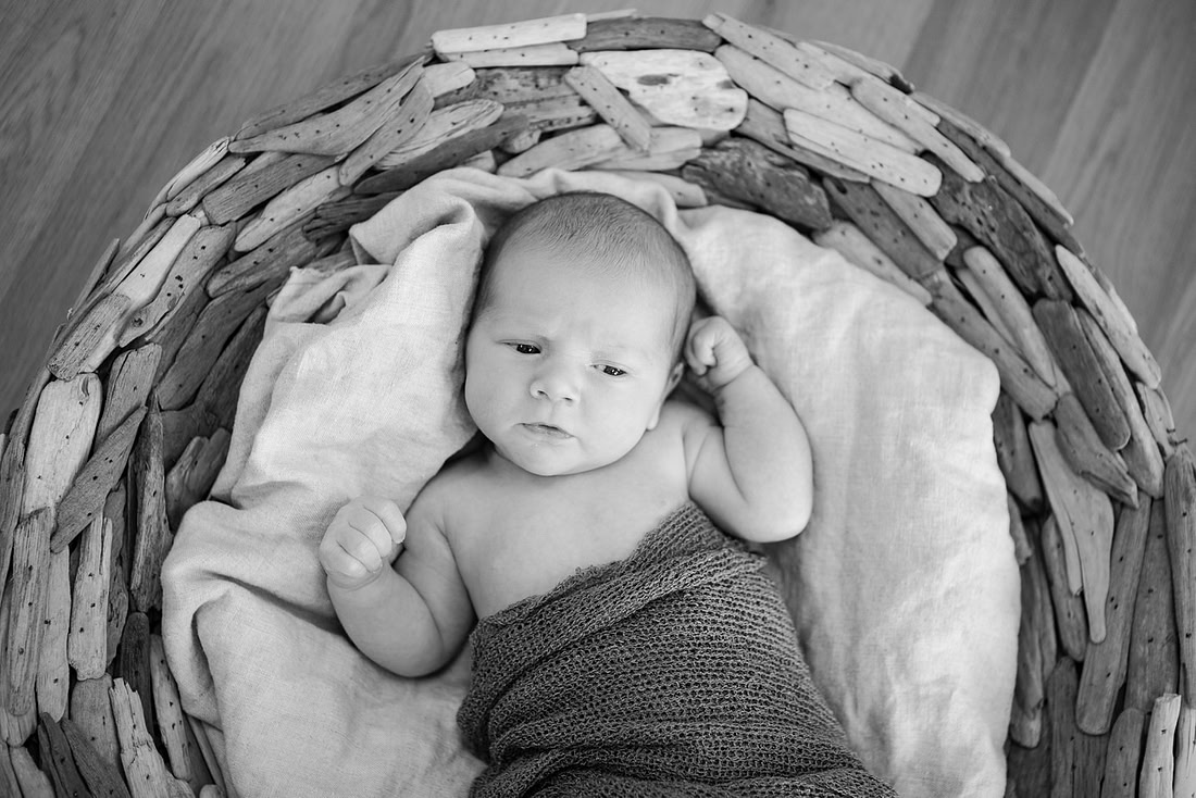 created by me photography -7326