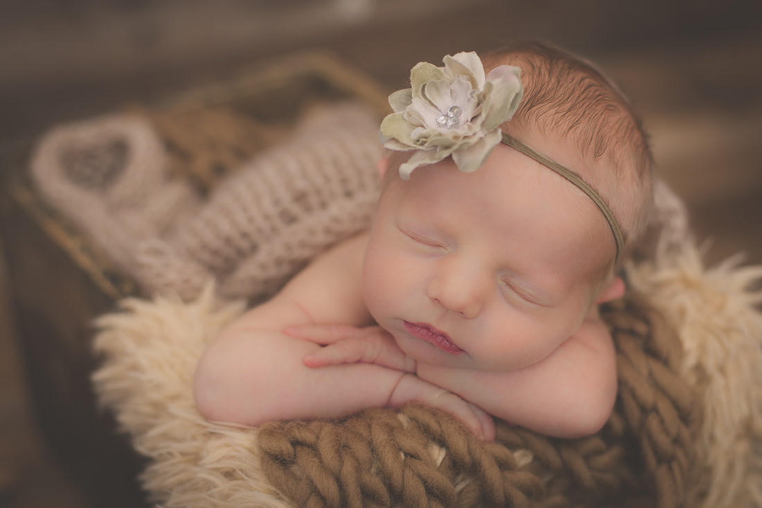 ASK FOR COPYRIGHT-0124