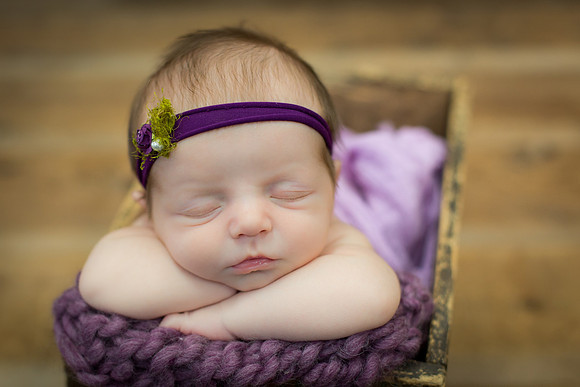 ASK FOR COPYRIGHT-3043
