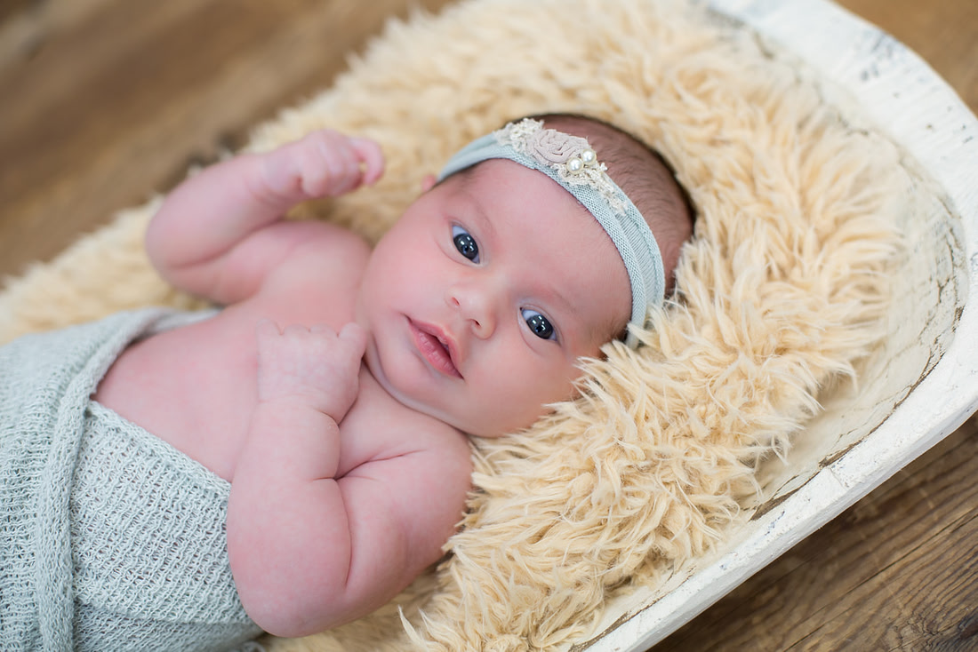 ASK FOR COPYRIGHT-5592