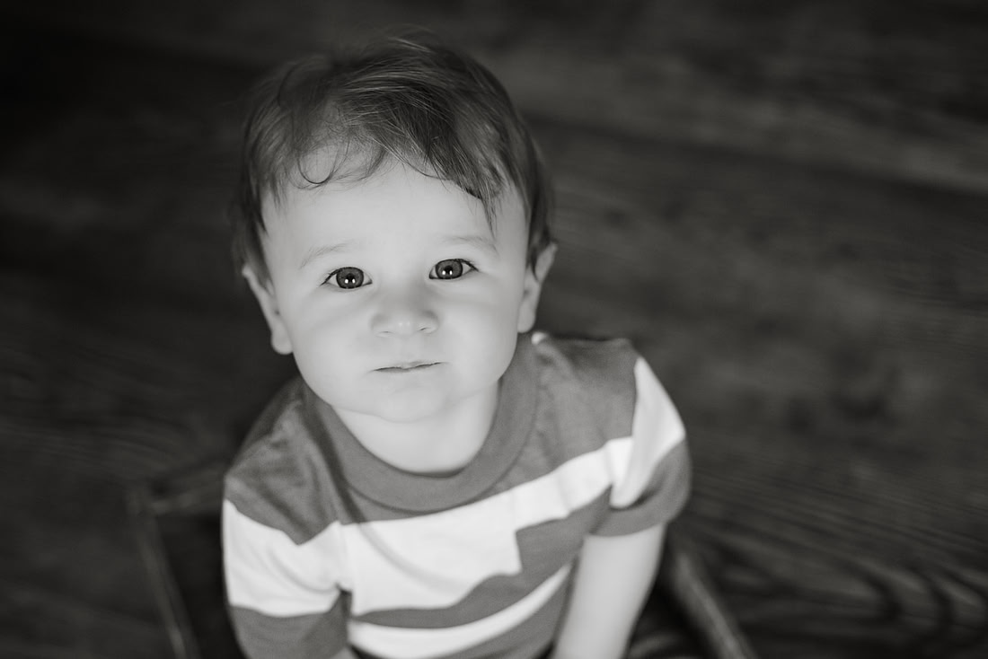 ASK FOR COPYRIGHT-8429-3