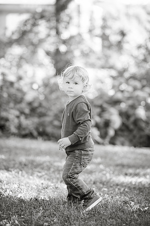 ASK FOR COPYRIGHT-8335-3