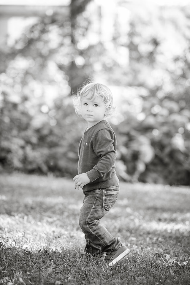ASK FOR COPYRIGHT-8335-3