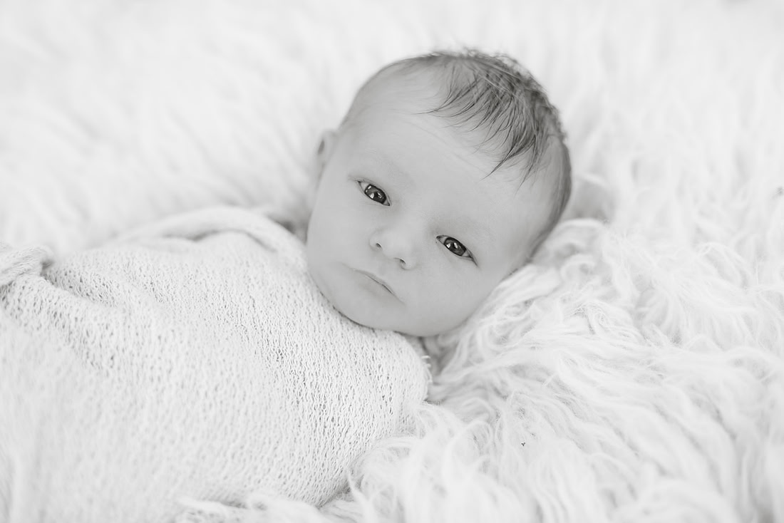 ASK FOR COPYRIGHT-4593-2
