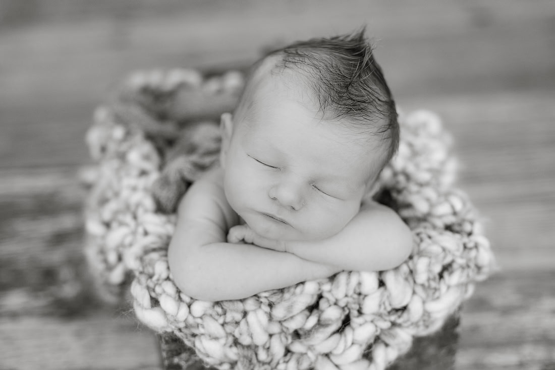ASK FOR COPYRIGHT-4786-2