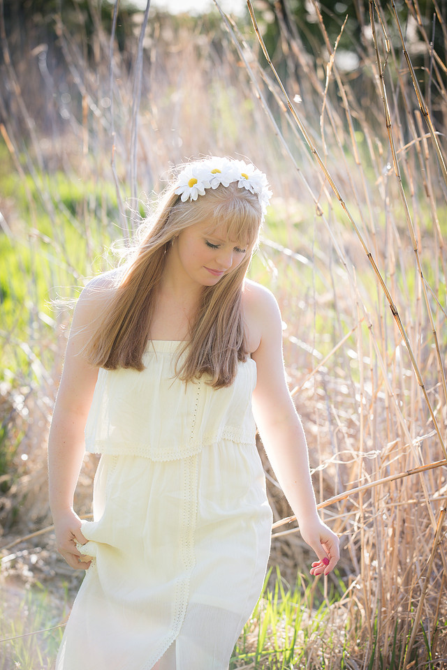 ASK FOR COPYRIGHT-2485-2