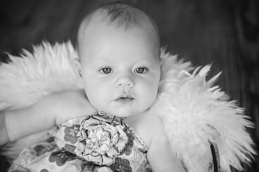 created by me photography -1831