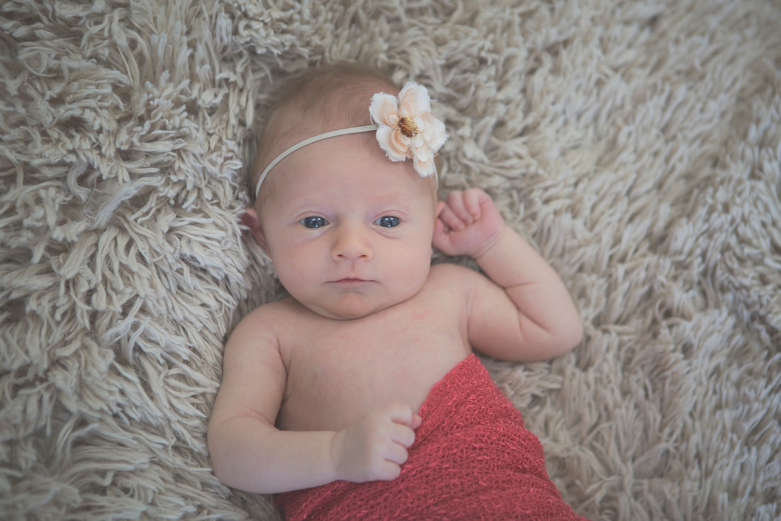 created by me photography -7236