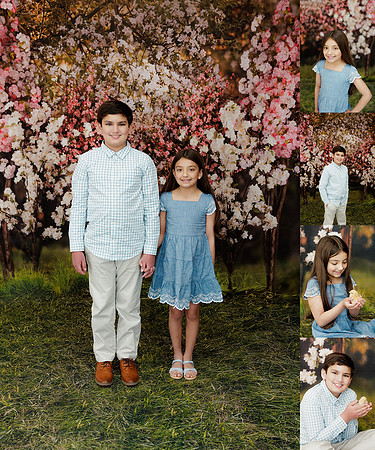 CBM Photography -1