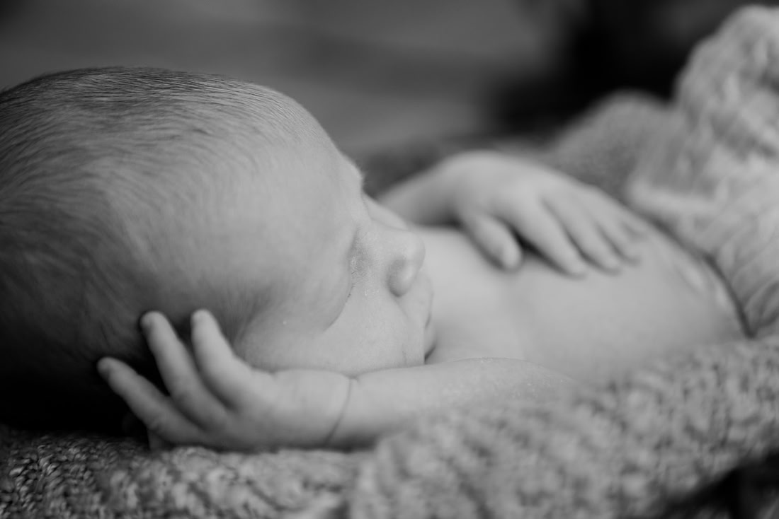 created by me photography -7302
