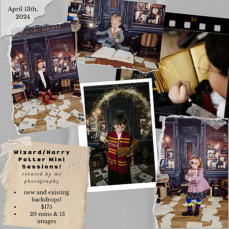 wizardharry potter