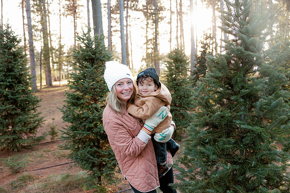 treefarm