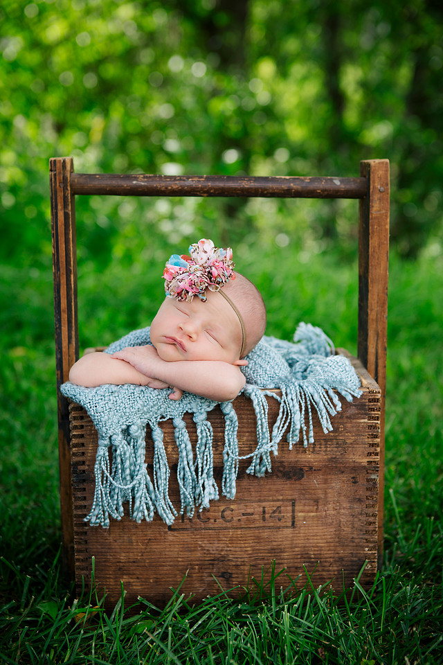 created by me photography -1040