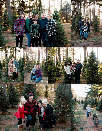 tree farm 1_0159