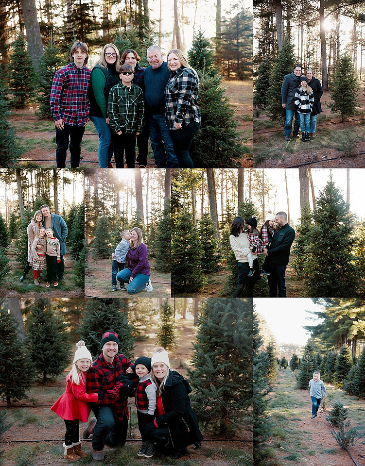 tree farm 1_0159