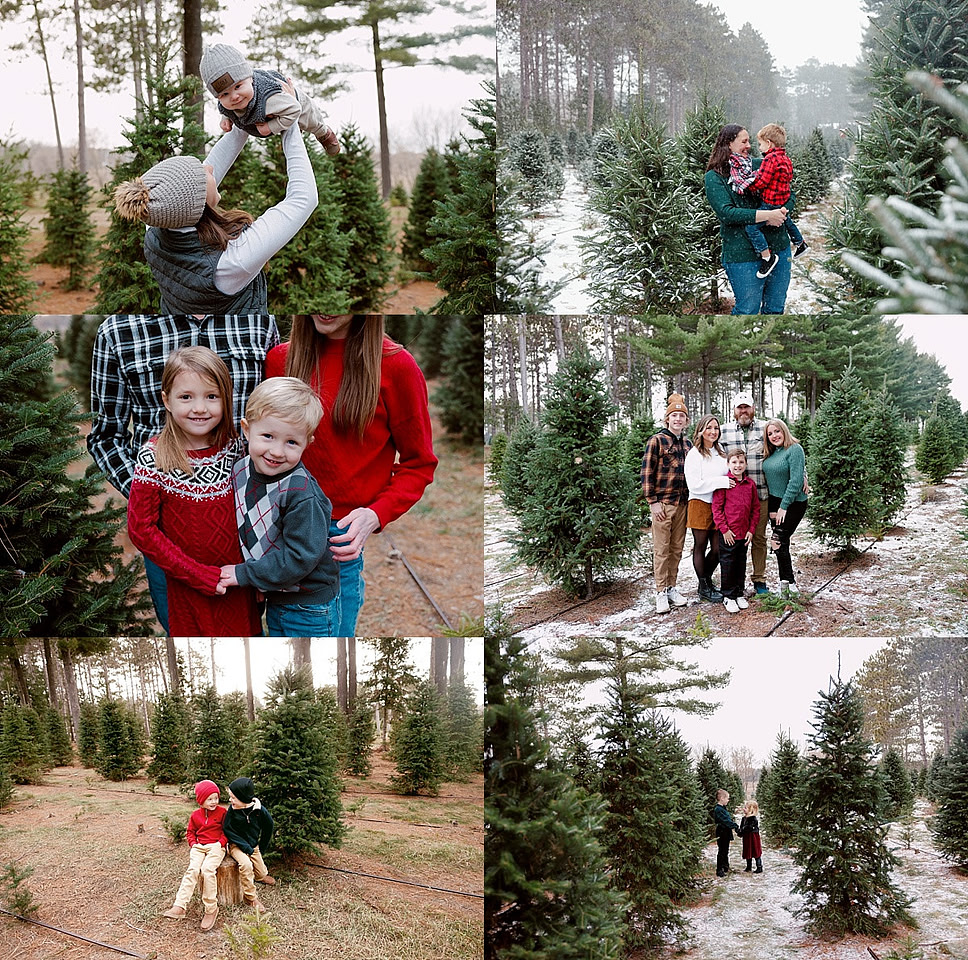 tree farm 1_0159