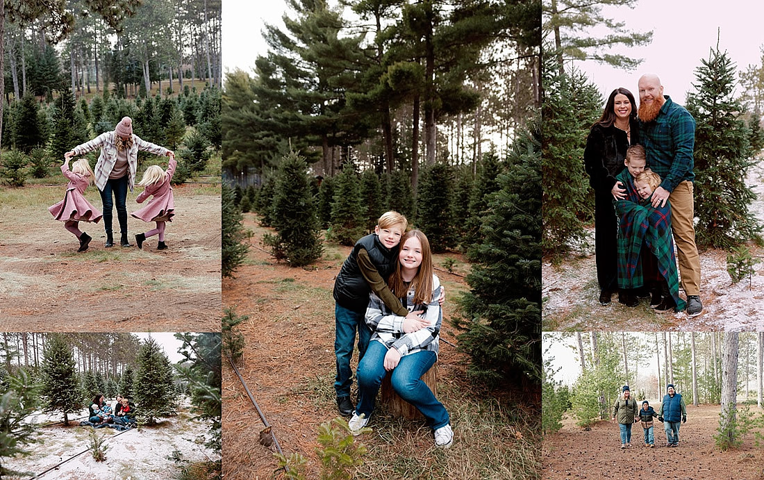 tree farm 1_0159