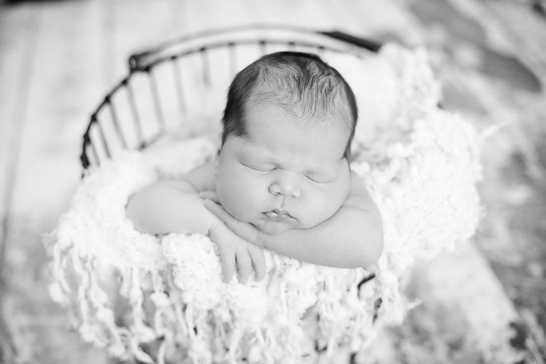 created by me photography -9796