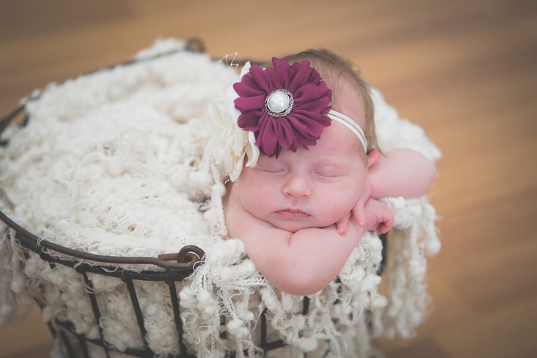 created by me photography -4641