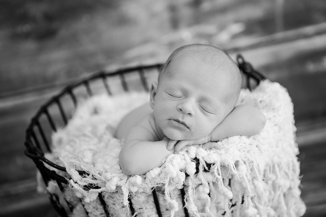 created by me photography -8550