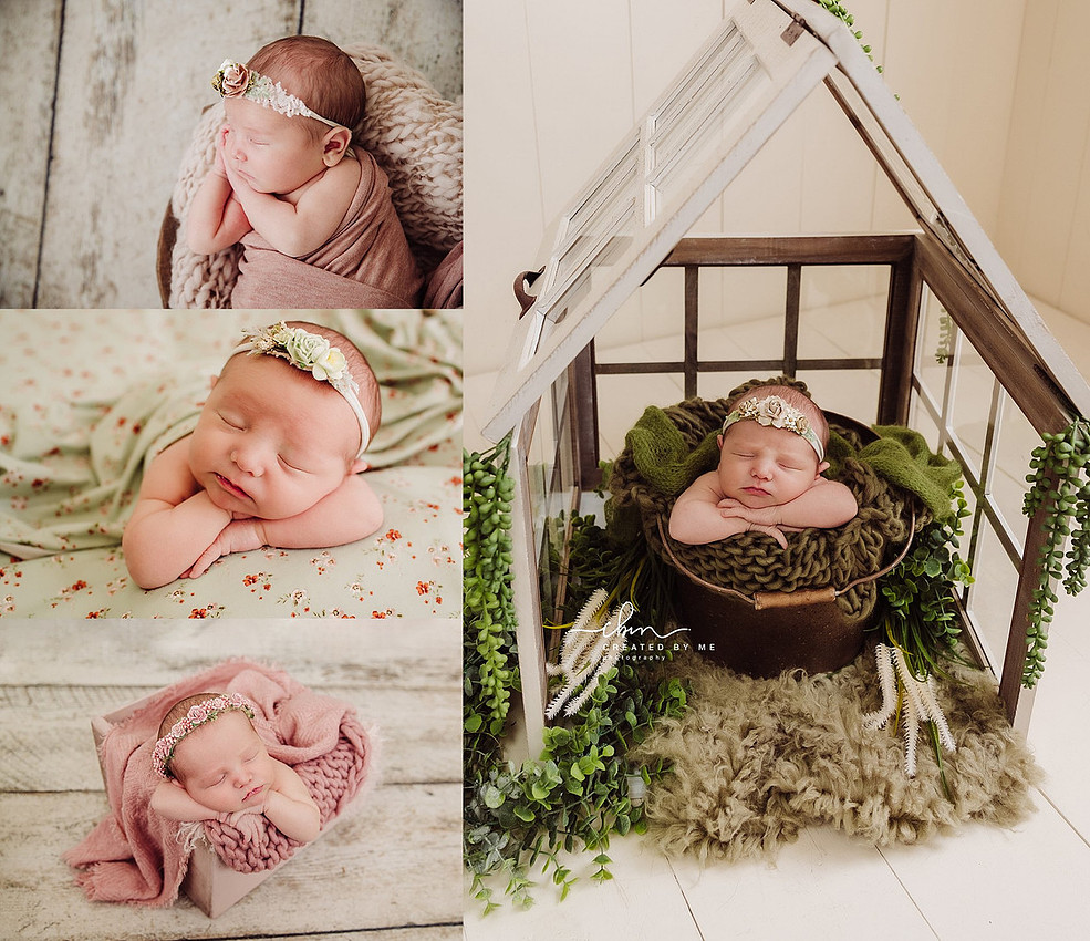 amy beherends_0570