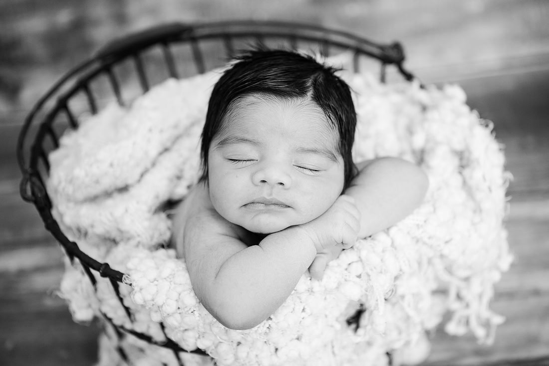 created by me photography -7737