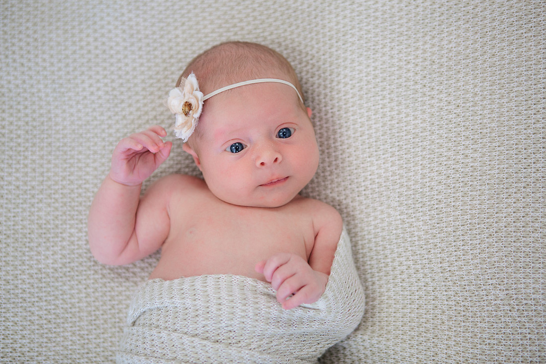 created by me photography -8290