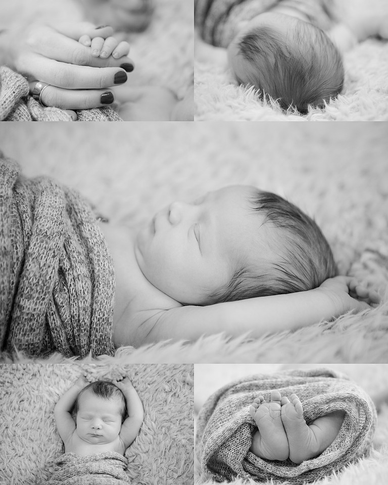 t family newborn 8x10