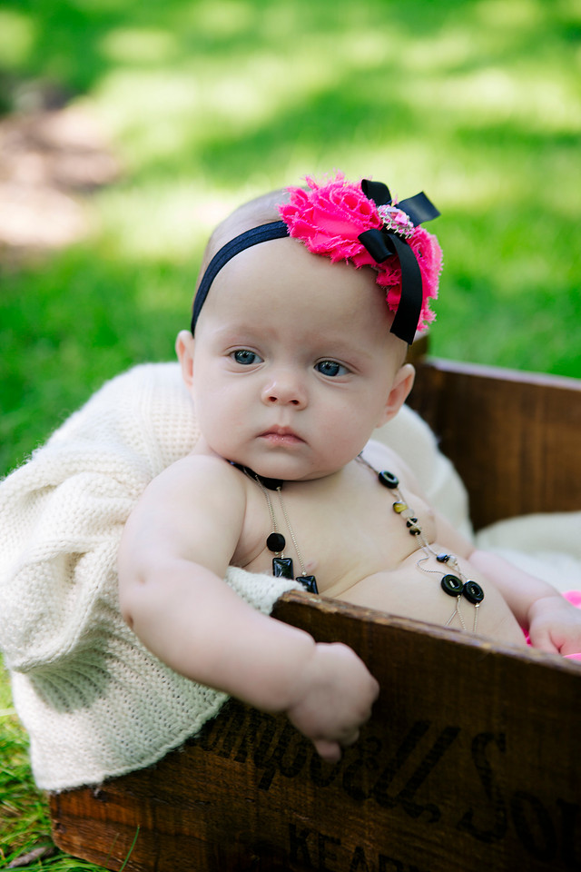 created by me photography -7590